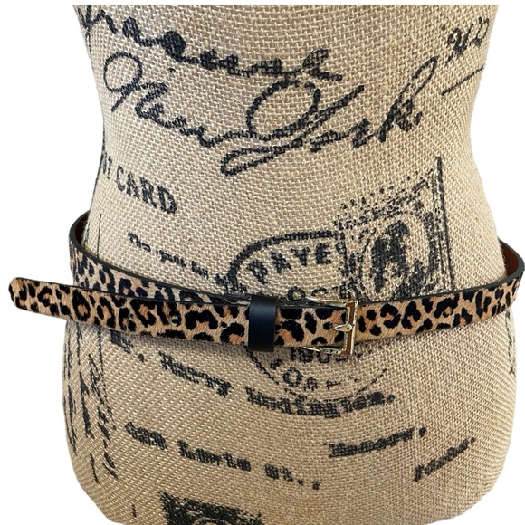 Banana Republic Belt - Picture 1 of 7